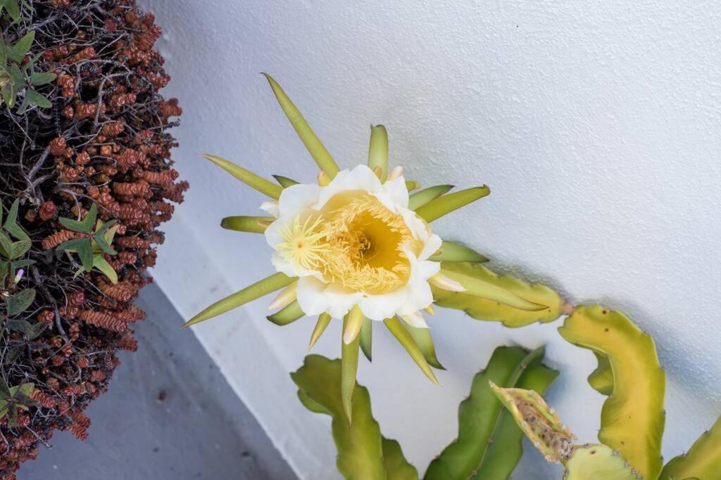 Appartamento El Loft De Abreu Cadice Esterno foto